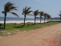 /album/fotos-loteamento-jardim-jacone/coqueiros-jpg/